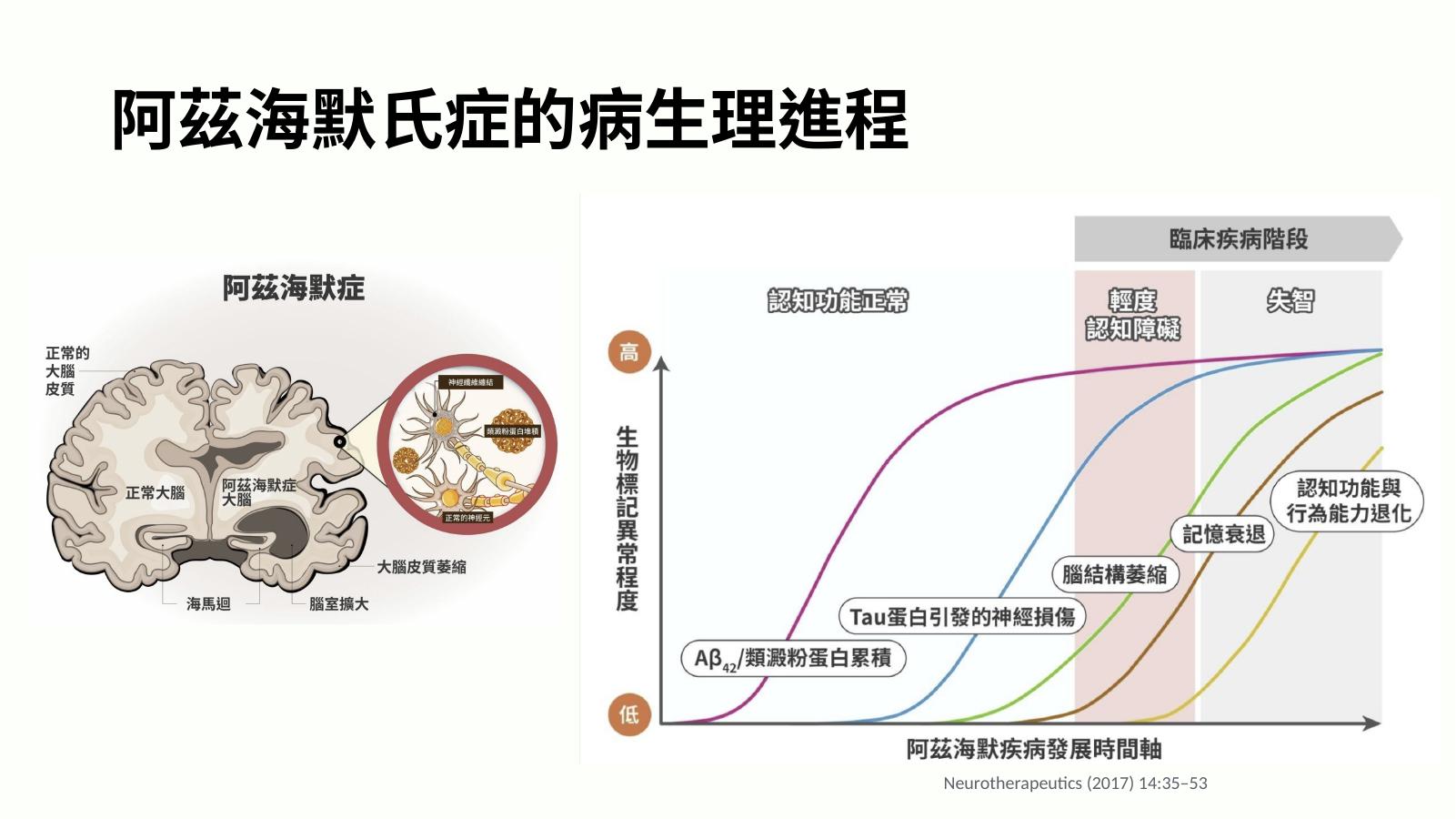 第 13 頁
