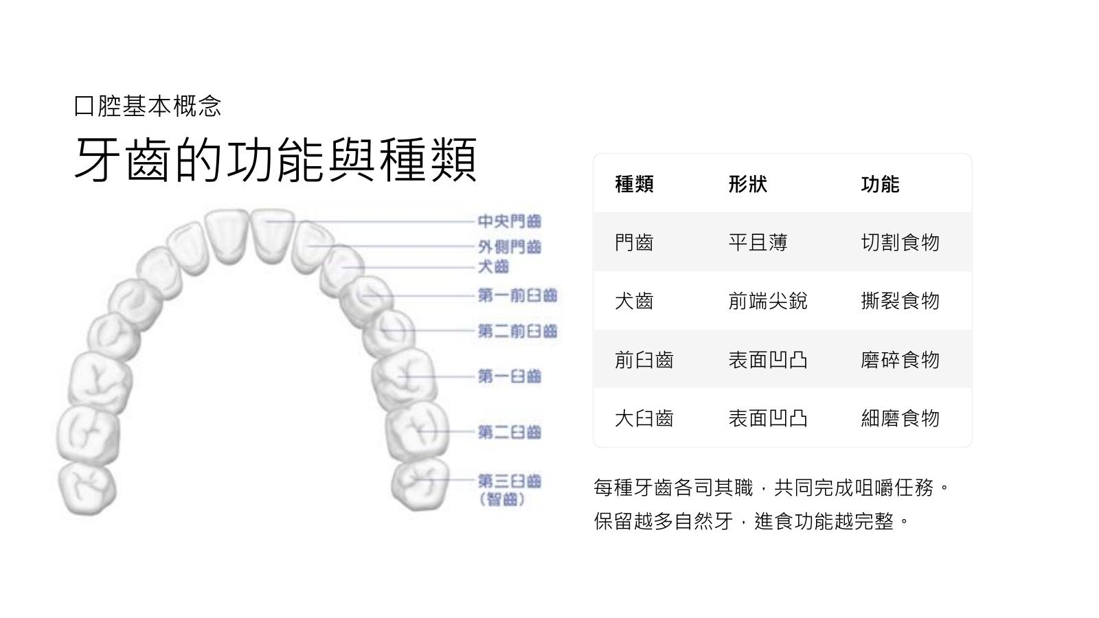 第 5 頁