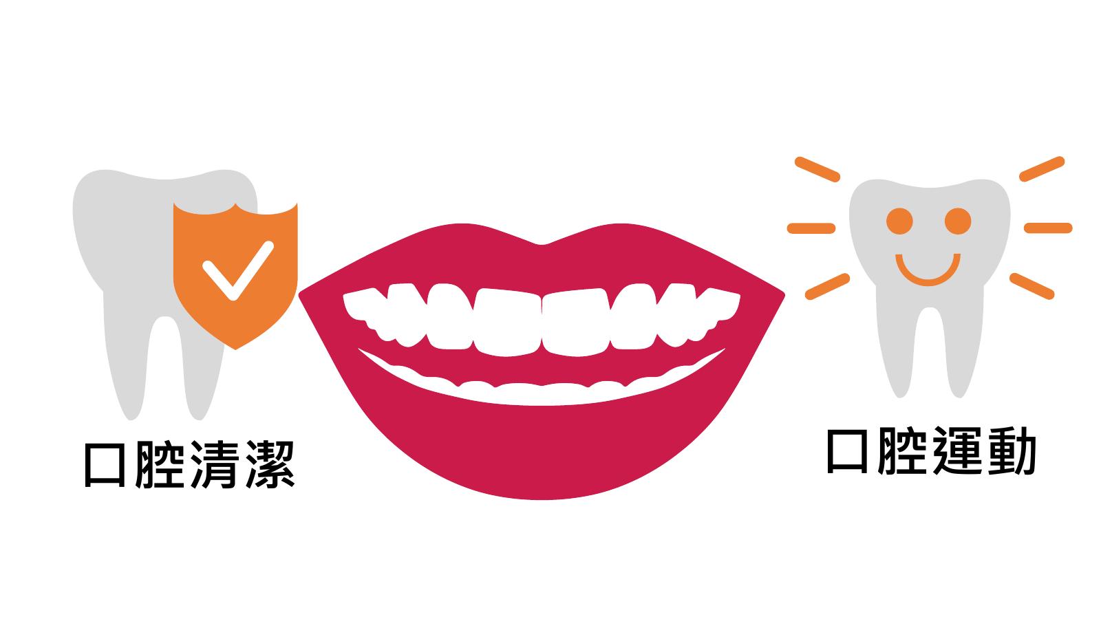 第 6 頁