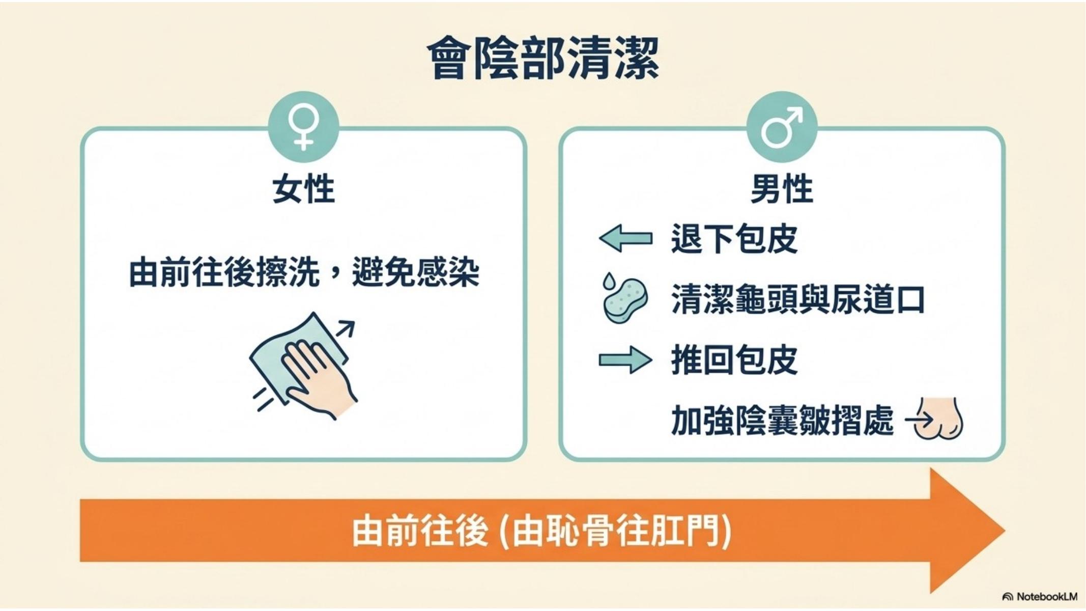 第 11 頁